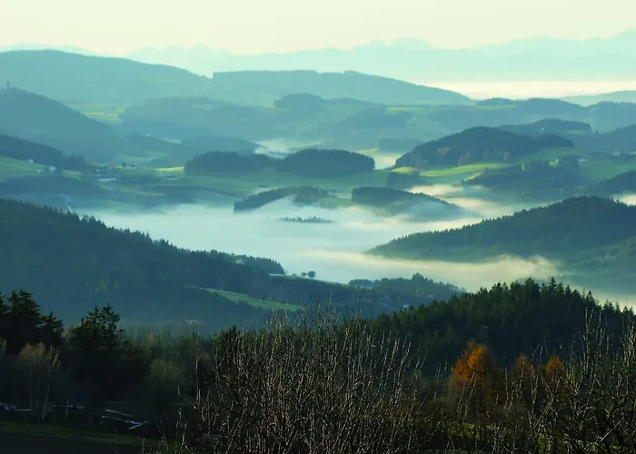 Bergergut Geniesserhotel Afiesl